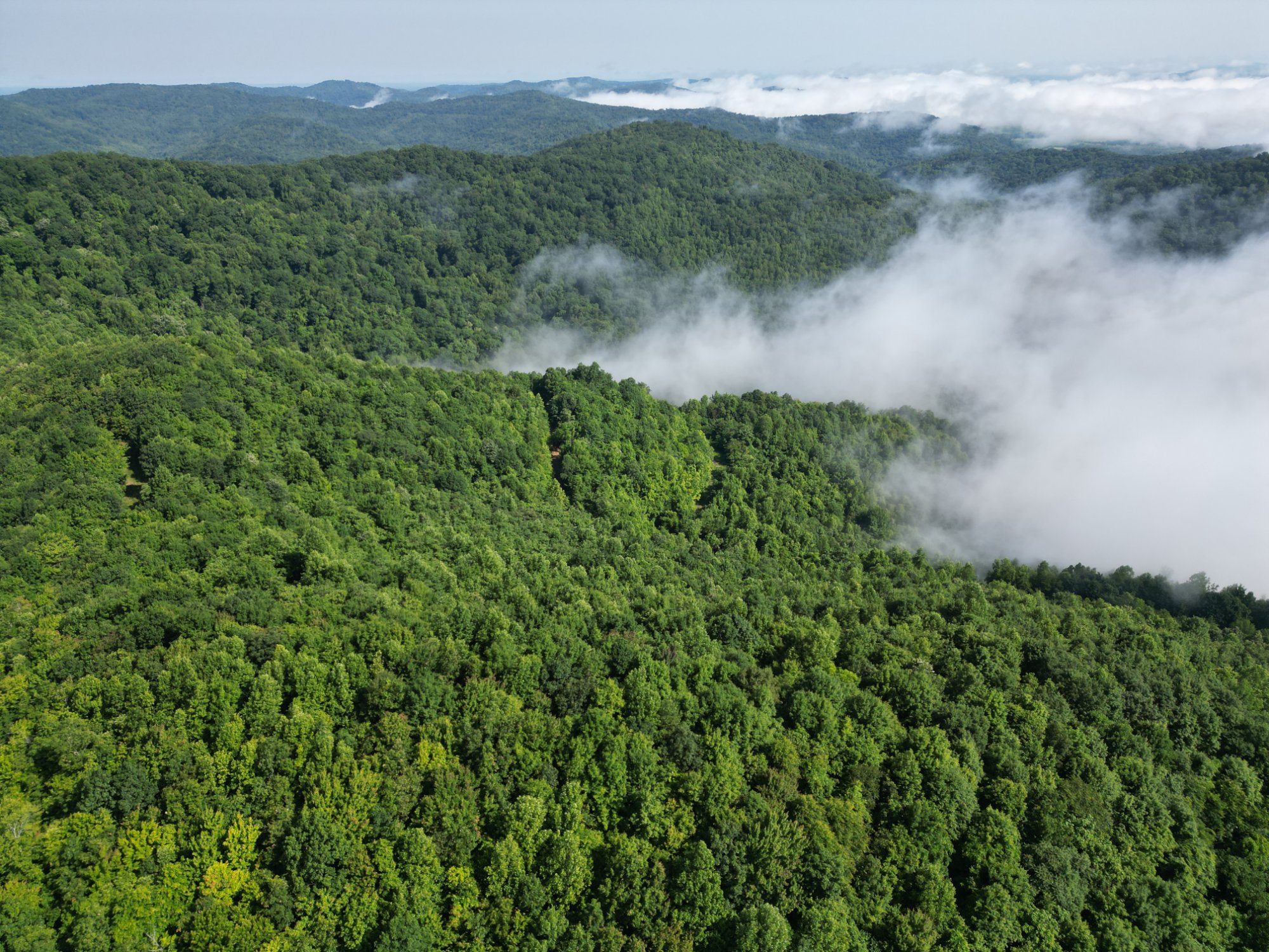 Kentucky