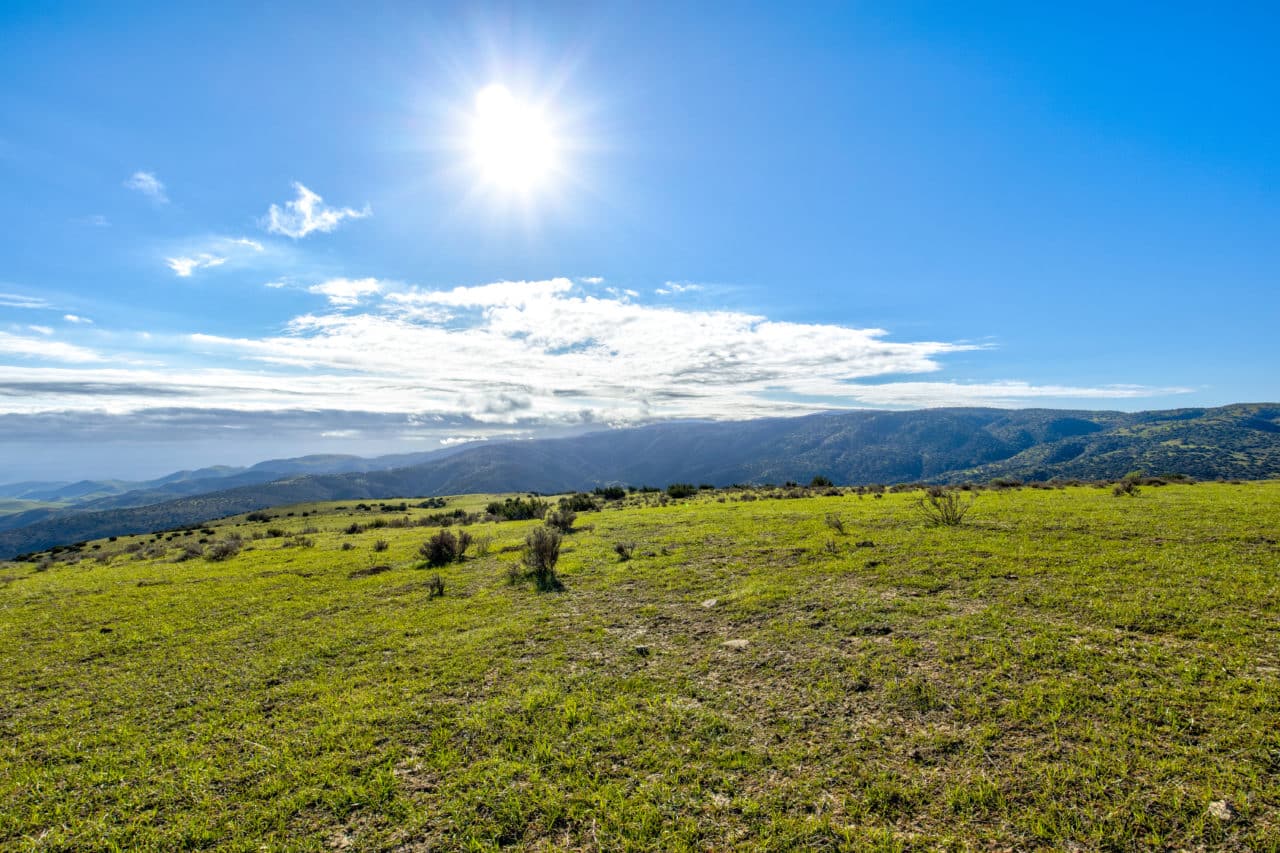 Freestar Ranch - Main View