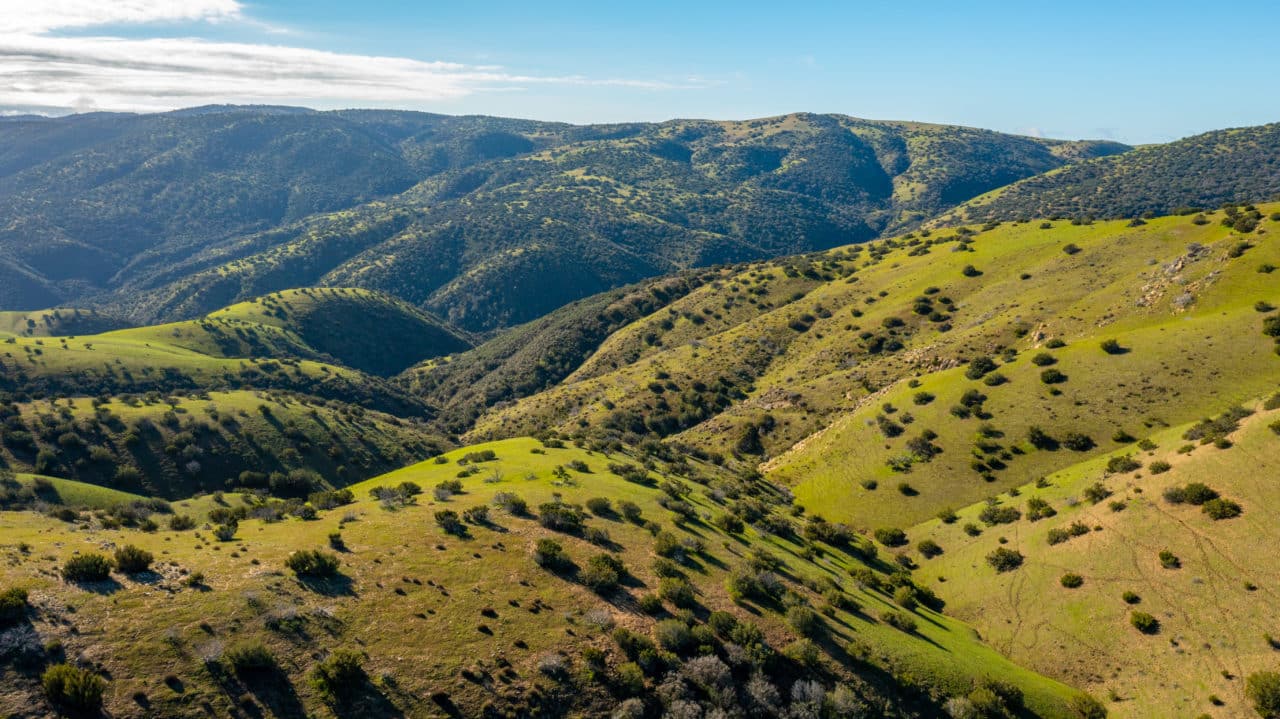 Freestar Ranch - View 2