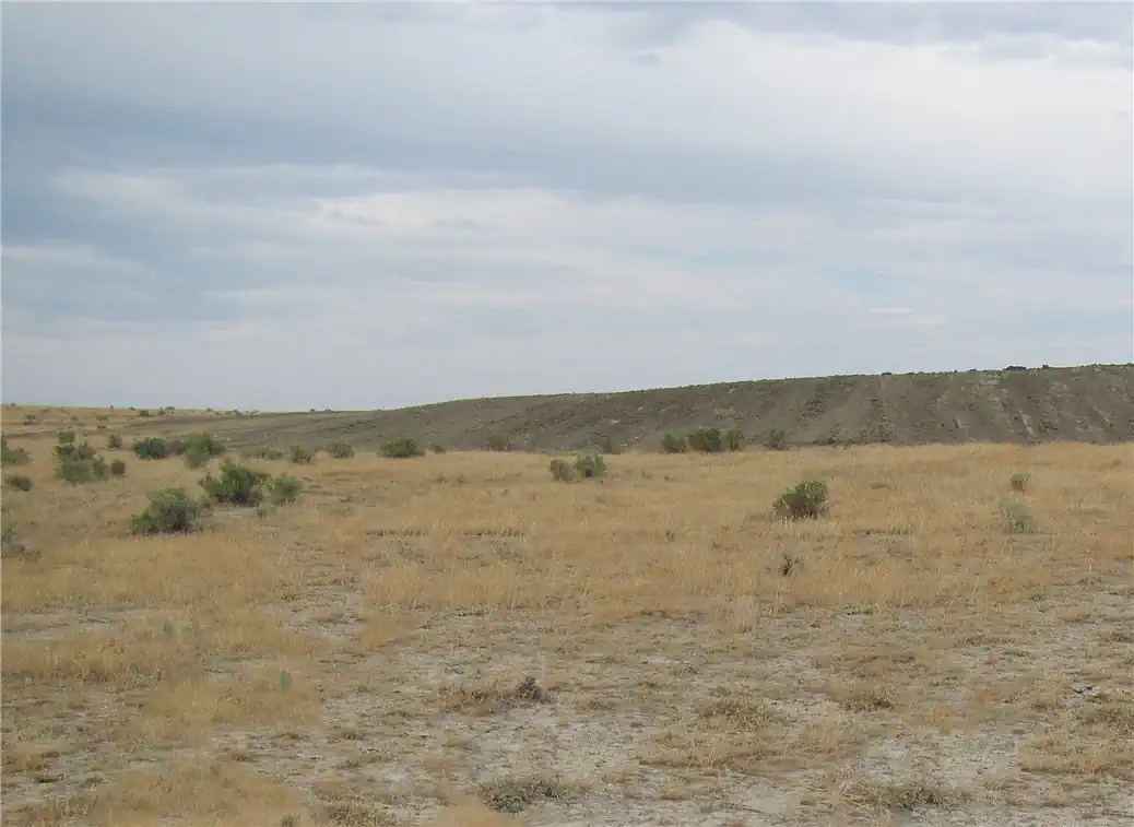 Ranch landscape